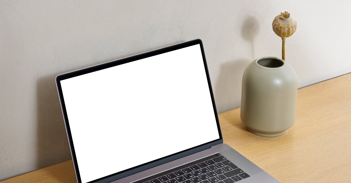 Essential Tools for MacBook Screen Replacement