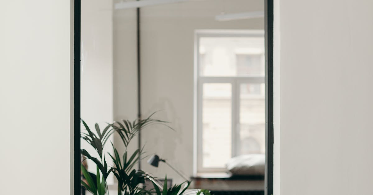 Evaluating the Longevity of Repairs for Dead Pixels in MacBooks